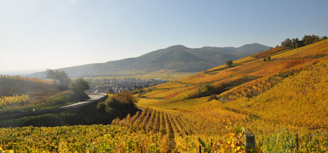 Alsace & Vosges Mountains - 4 Days - justdrive holiday